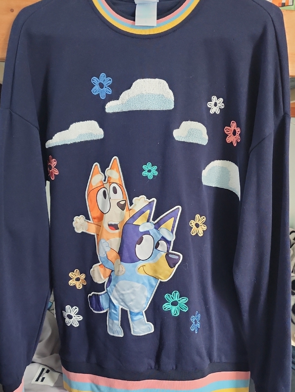New Ladies Bluey Embroidered Sweatshirt S